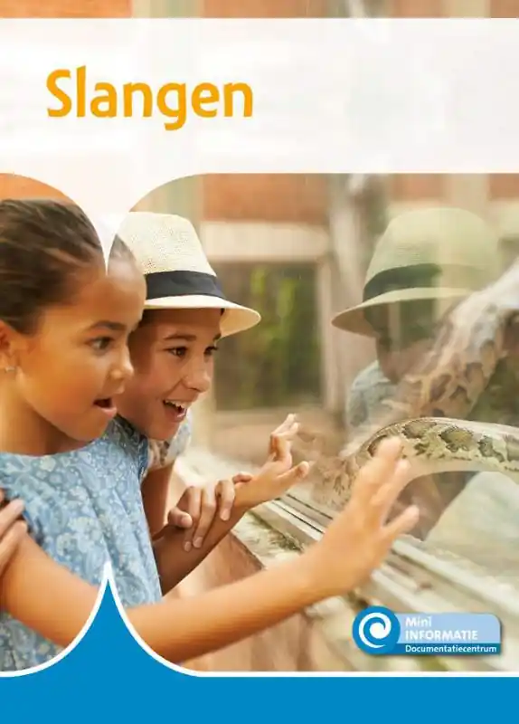 Slangen Lage Kosten