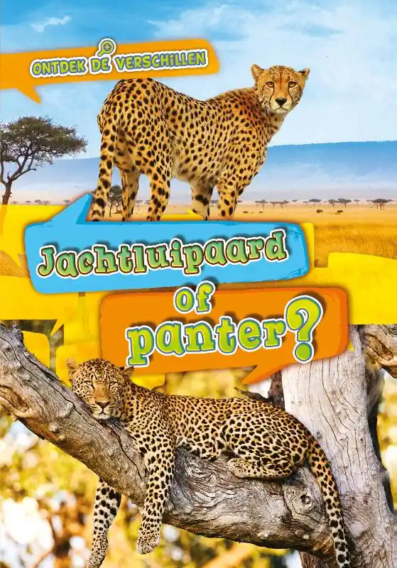 Jachtluipaard of panter? Express Levering