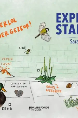 Expeditie stad Lage Kosten
