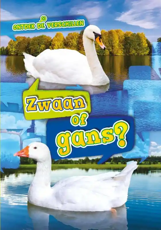 Finale Uitverkoop Zwaan of gans?