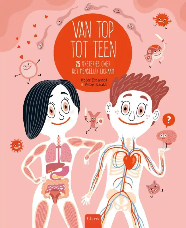 Koop Online Van top tot teen