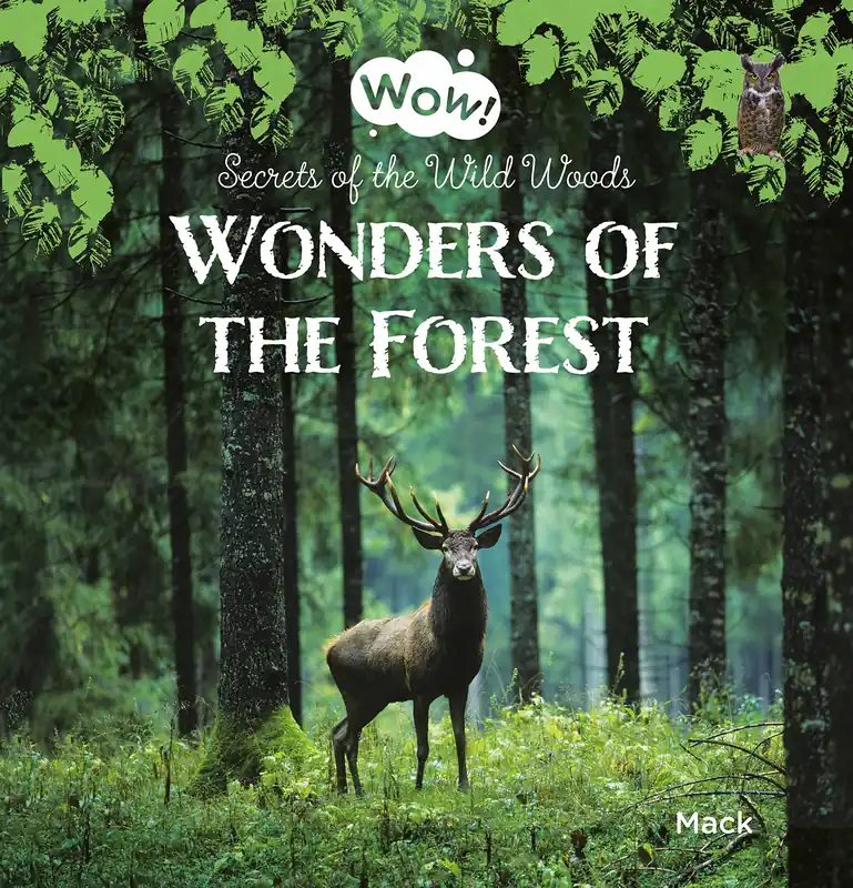 Lage Prijs Wonders of the Forest