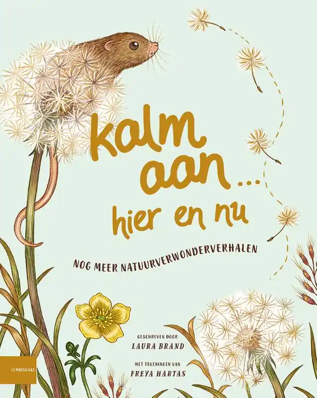Kalm aan… Hier en nu Superprijs