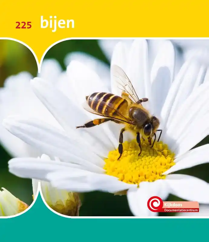 bijen Speciale Aanbieding