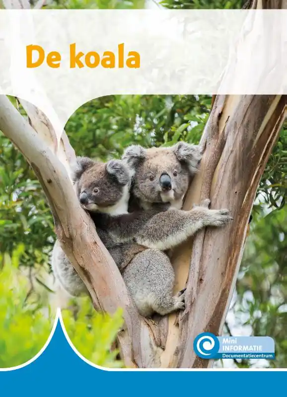 Nieuw De koala