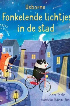 Beperkt Aanbod Fonkelende lichtjes in de stad
