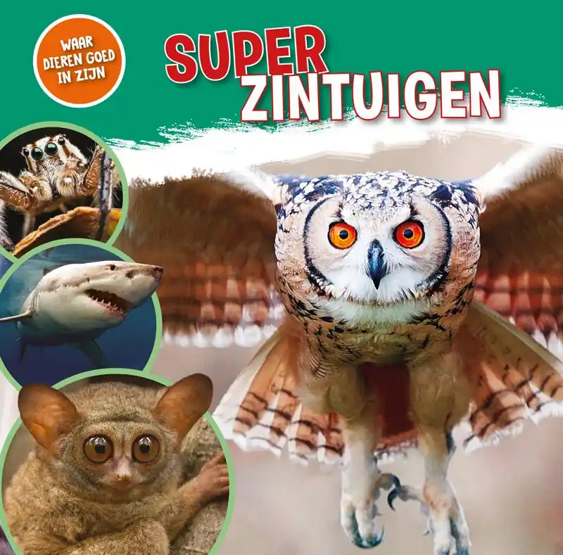 Superzintuigen Veilige Betaling