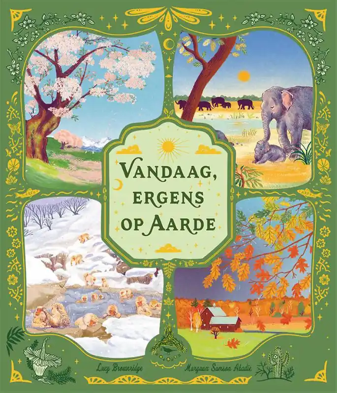 Rechtstreeks Van De Fabrikant Vandaag, ergens op aarde