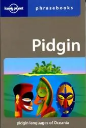 Pidgin Lonely Planet phrasebook Snelle Levering