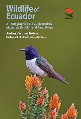 Wildlife of Ecuador Premium