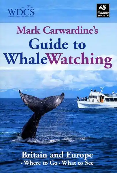 Koop Vandaag Guide to Whalewatching in Britain + Europe