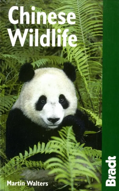 Chinese Wildlife Betrouwbaar