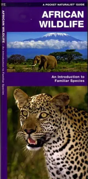 Premium African Wildlife