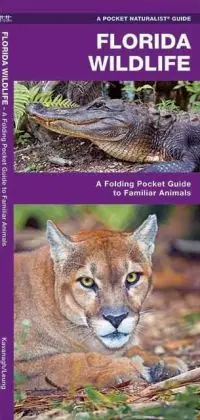 Florida Wildlife Koop Online
