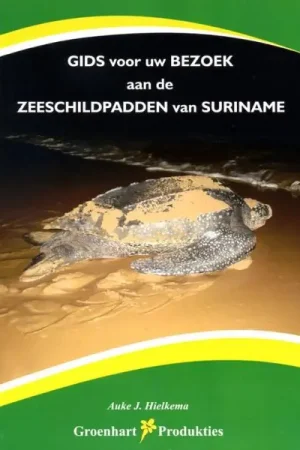 Zeeschildpadden van Suriname Hoge Kwaliteit