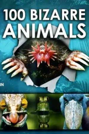 100 Bizarre Animals Lage Prijs