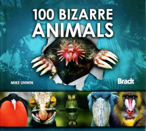 100 Bizarre Animals Lage Prijs