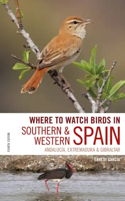In Southern en Western Spain Koop Vandaag