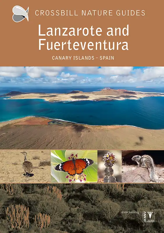 Aanbieding Crossbill Guide Lanzarote and Fuerteventura | natuurreisgids