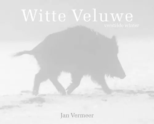 Beperkt Aanbod Witte Veluwe | Jan Vermeer