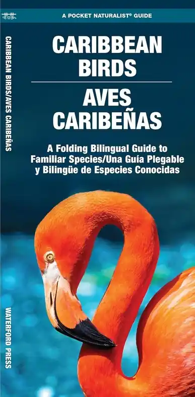 Caribbean Birds Express Levering