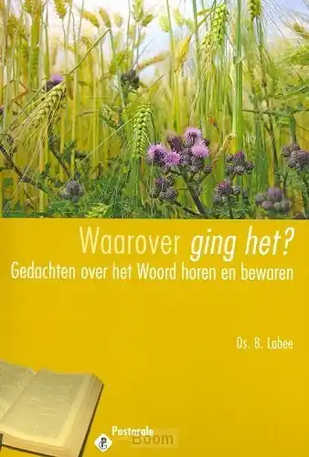 Direct Verzonden Waarover ging het