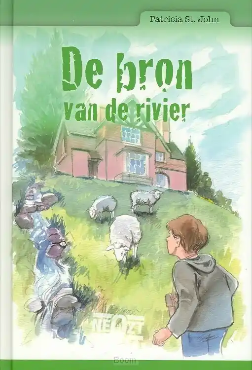 Snelle Levering Bron van de rivier