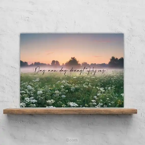 Lage Kosten Plexiglas dag aan dag
