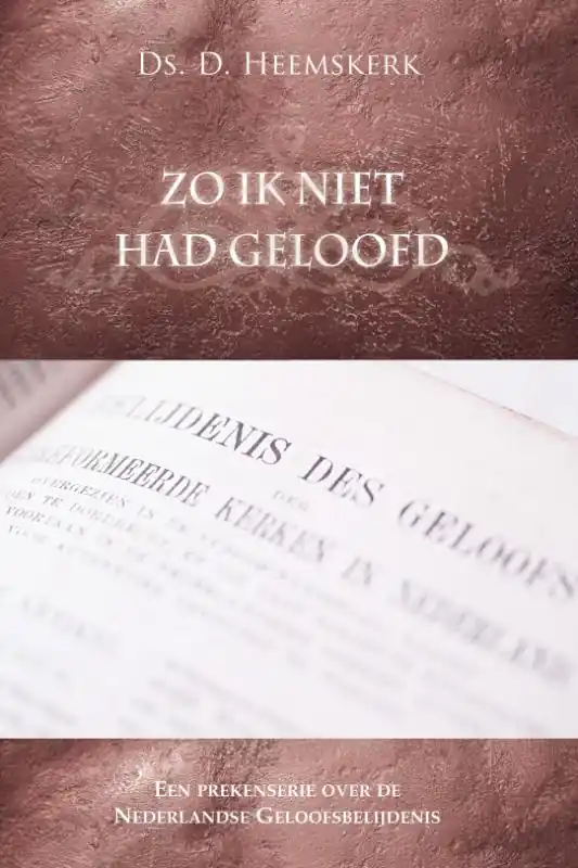 Bestseller Zo ik niet had geloofd - D. Heemskerk