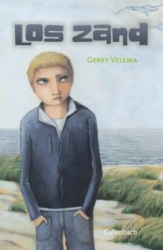 Bestseller Los zand - Gerry Velema
