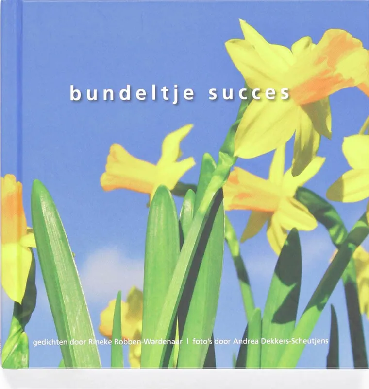 Must-Have Bundeltje Succes - R. Robben-Wardenaar