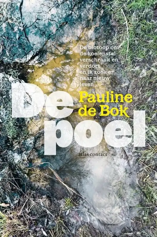 De poel - Pauline de Bok Actieprijs