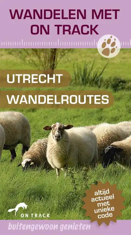 Utrecht Tijdelijk Beschikbaar