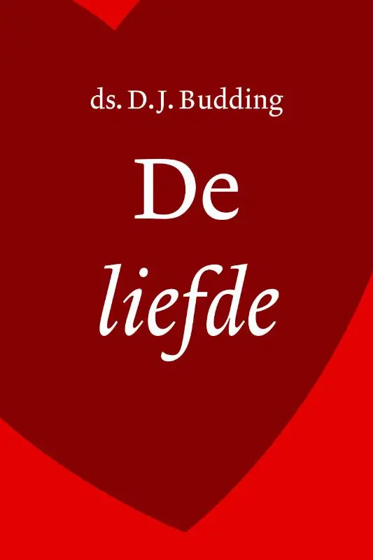 Lage Prijs De liefde - D.J. Budding