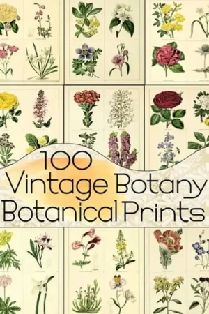 100 Vintage Botany Botanical Prints - C. Anders Direct Verzonden