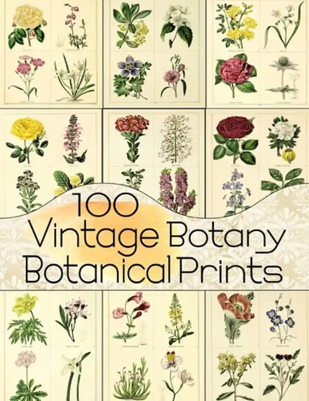 100 Vintage Botany Botanical Prints - C. Anders Direct Verzonden