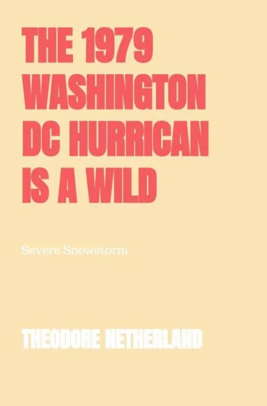 Weekendaanbieding The 1979 Washington DC Hurrican is a Wild Climate Occurrence Producing with it Freezing Conditions Roaring Breeze and Reduced Clarity. / 1st Edition