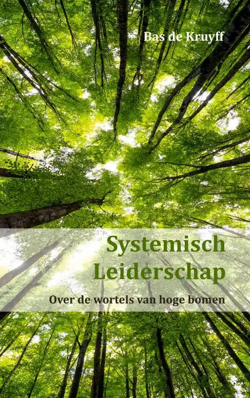Systemisch Leiderschap / Druk 1 Direct Beschikbaar