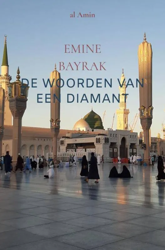 De woorden van een Diamant / Druk 1 Laatste Kans