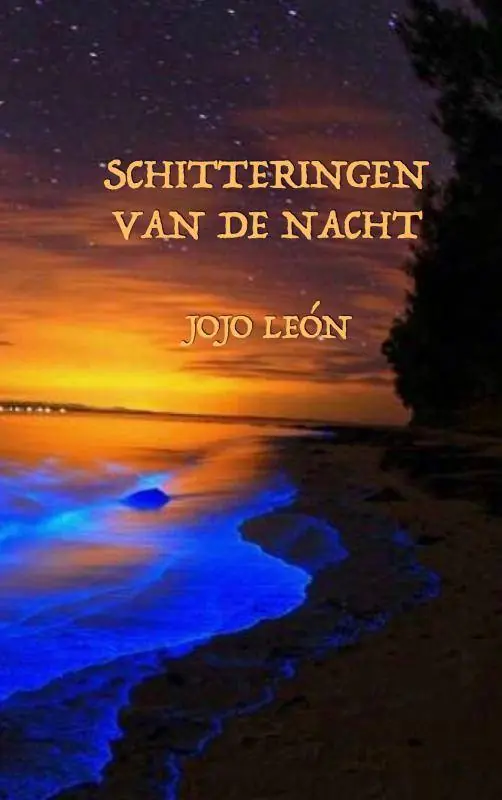 Schitteringen van de nacht / Druk 1 Goedkoop
