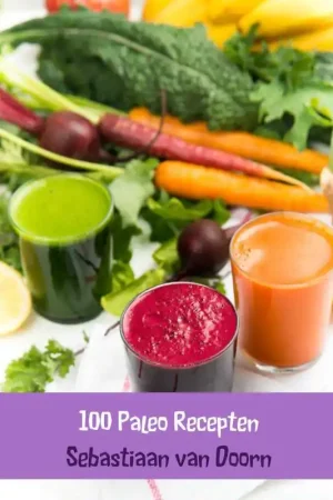 100 Paleo Recepten / Druk 1 Op = Op