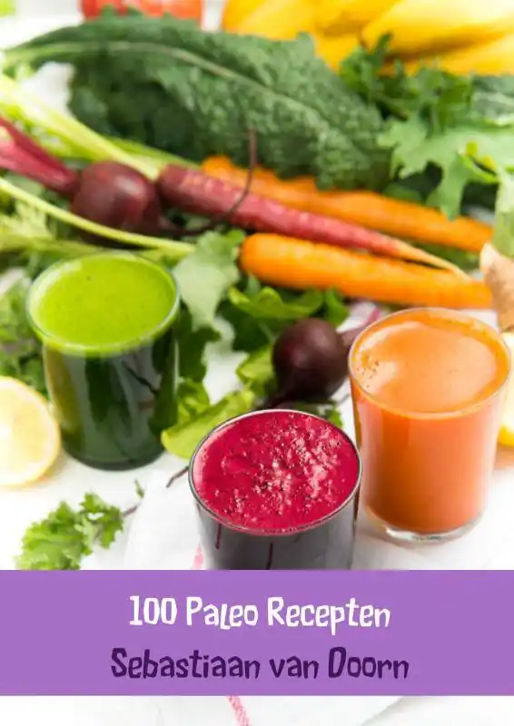 100 Paleo Recepten / Druk 1 Op = Op