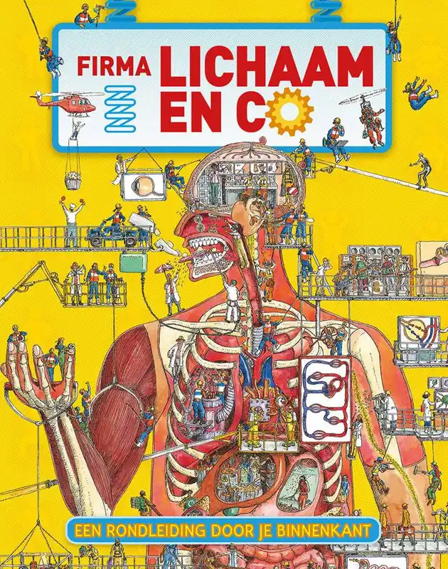 Hoge Kwaliteit Firma Lichaam & Co / Druk 1