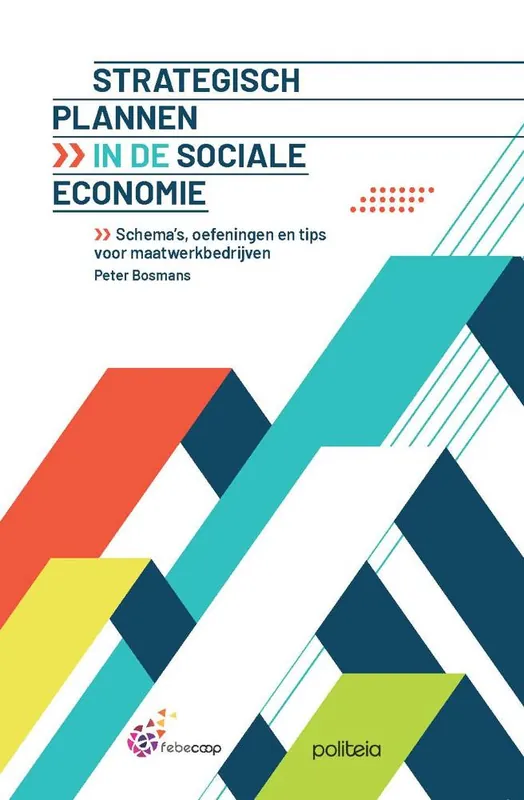Bestel Nu Strategisch plannen in de sociale economie / Druk 1