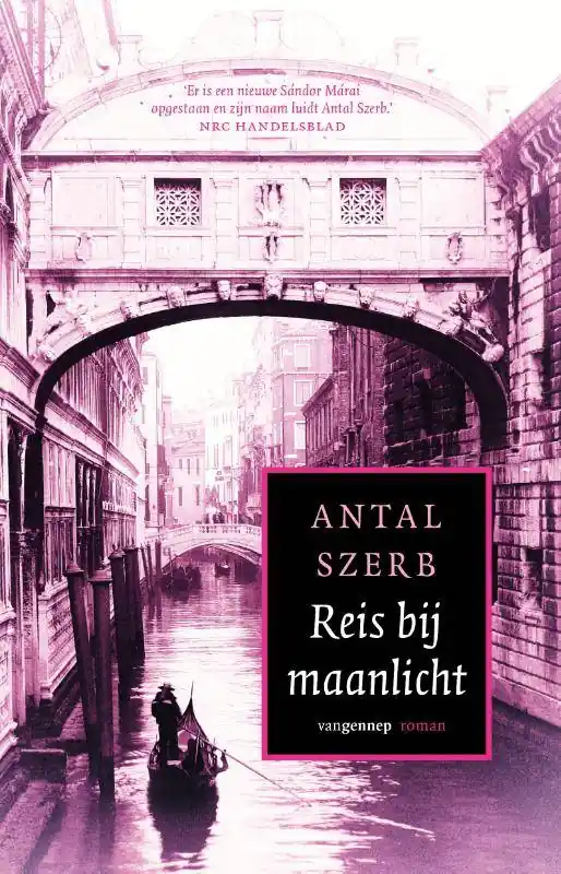 Premium Reis bij maanlicht / Druk 1