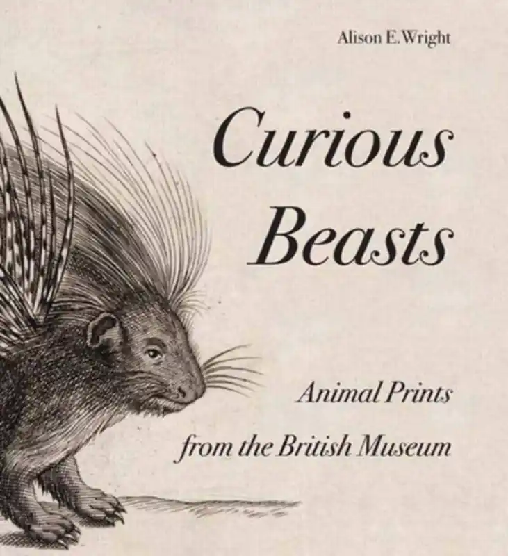 Op = Op Curious Beasts