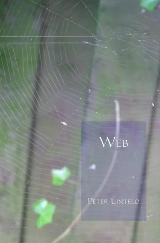 Web / Druk 1 Gereduceerde Prijs