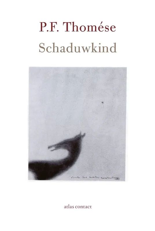 Schaduwkind / Druk 23 Shop Nu