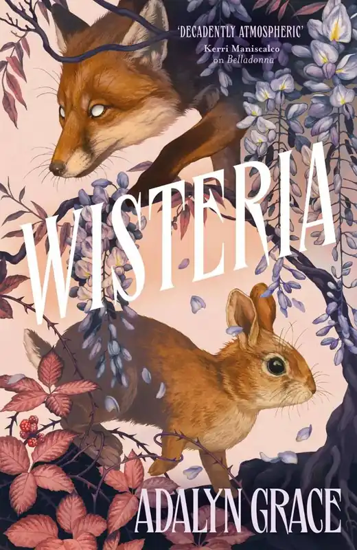 Wisteria / 1st Edition Koop Online