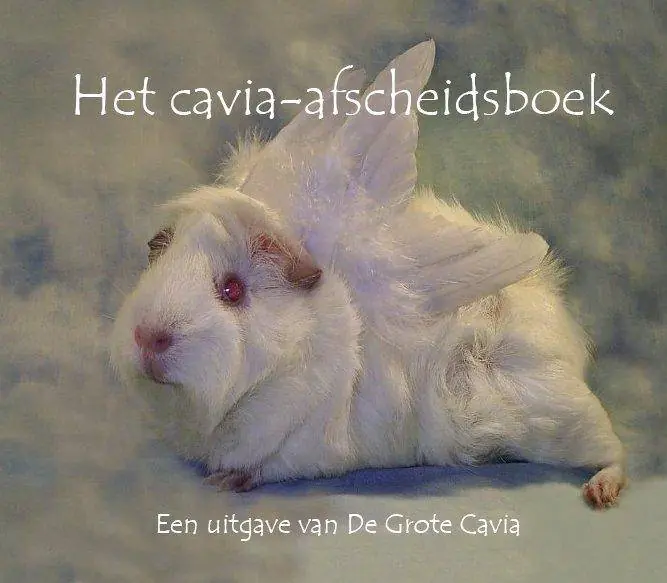 Shop Nu Het cavia afscheidsboek 2 / Druk 1